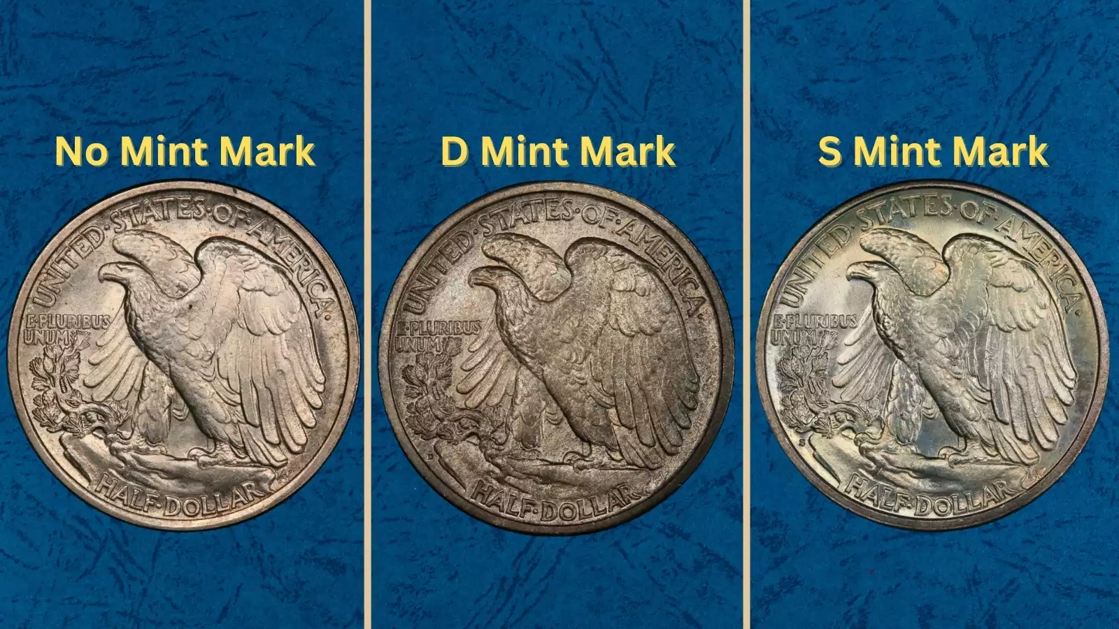 Group of 1919 Walking Liberty half dollars from all three mints showing typical circulated survivors